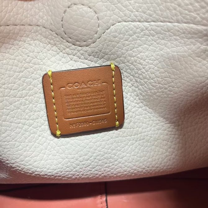 COACH LANA 23 Polished Pebble Leather 2-Way Shoulder Bag in White - CM545